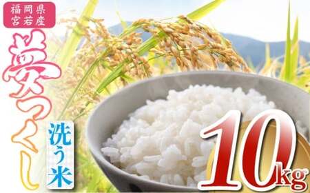 ߘa7NY   10kg [M895-1] ͂ R    uh