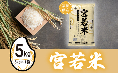 [令和7年産]宮若米(夢つくし) 精米 5kg [M923-1]