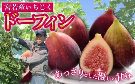 �y�ߘa8�N�x�Y�z�y��s�\��z�������{��s�Y �������� 400g×4�p�b�N(1.6kg) [M894-1]