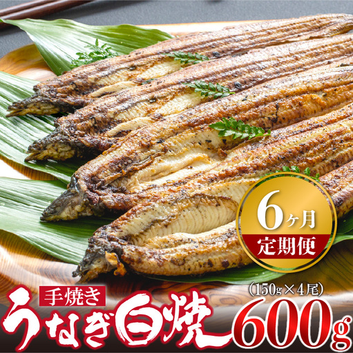 【6ヶ月定期便】九州産手焼きうなぎ白焼き 4尾（約600g） [M988-1]