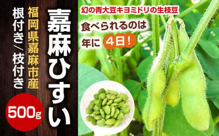 年に1度の青々とした若さをお届け!希少な嘉麻ひすい 根付き 枝付き 生枝豆 [2025年10月上旬〜下旬発送予定] 希少 青大豆 キヨミドリ