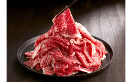 博多和牛 切落しミックス 計1kg(500g×2パック)(お肉ソムリエ開発焼肉のたれ&肉専用スパイス2種付)和牛 博多和牛 牛肉 お肉 切り落とし タレ付き スパイス付き