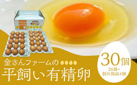 [平飼い有精卵]30個入(26個+割れ保証4個) たまご 卵 玉子 鶏卵 平飼い 有精卵