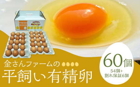 yLz60i54+ۏ6j ܂  ʎq {  L