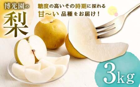 梨 3kg [2025年9月下旬〜12月下旬迄発送予定] なし 果物 くだもの フルーツ 豊水 20世紀 新高 新興