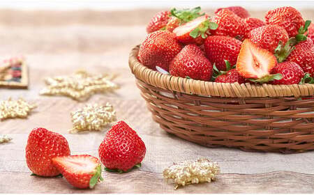 y~zY ܂  250`270g×2pbN y2025N12{`2026N1{\z 嗱