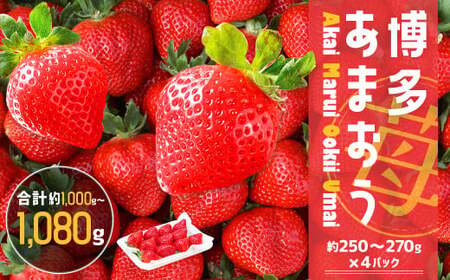 JAӂÕ ܂ y2i250g`270g×4pbNjz  ܂ ʕ t[c y2026N2{-3{\z