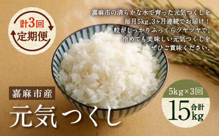 [令和7年産][3ヶ月定期便]元気つくし お米 合計15kg (5kg×3回)[2025年11月上旬から順次発送予定]