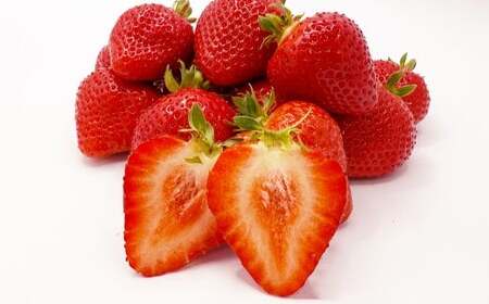 n糔_̍̂ꂽĂ܂ 280g×2pbN v560g  C`S t[c  Y y2026N1{-4{\z