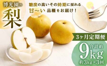 [3ヶ月定期便] 梨 3kg (計9kg) 3回定期便 なし ナシ 果物 果実 フルーツ 定期便 国産 九州 福岡県 嘉麻市 常温 [2026年9月下旬発送予定]