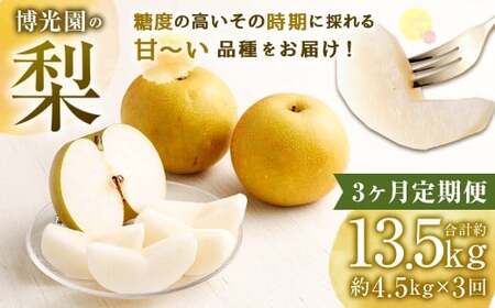 【2ヶ月定期便】 梨 4.5kg （計9kg） 2回定期便 なし ナシ 果物 果実 フルーツ 定期便 国産 九州 福岡県 嘉麻市 常温 【2026年9月下旬-10月下旬発送予定】