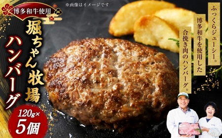 堀ちゃん牧場ハンバーグ 120g×5個 牛肉 牛 肉 にく ニク お肉 和牛 博多牛 冷凍 国産 福岡県産 ハンバーグ 料理 調理