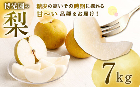 【9月発送分】梨 7.0kg  豊水 20世紀 新高 新興 果物