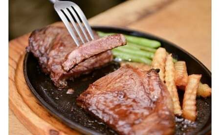 赤崎牛 [ サーロイン ステーキ ]約450g 脂の甘みが最高な 牛肉