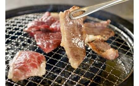 赤崎牛 [ 特選 カルビ ]約500g 焼肉用 牛肉