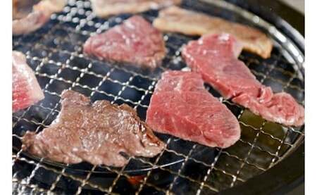 赤崎牛 [赤身 焼肉 カット]約600g 牛肉