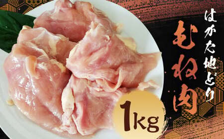 ͂nǂ ނ˓ (1kg) {