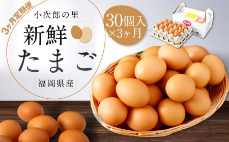 【3ヶ月定期便】鶏卵 30ヶ入×3回 合計90個 たまご  福岡県産