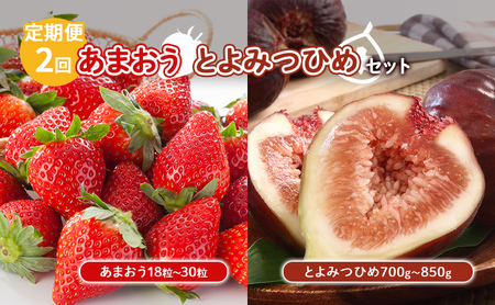 定期便 2回 あまおう いちじく セット いちご 18粒〜30粒 とよみつひめ 700g〜850g 果物 フルーツ 配送不可:北海道 東北 沖縄 離島