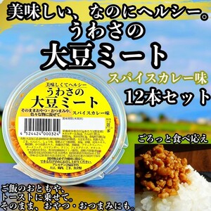大豆 加工品 うわさの大豆ミート スパイスカレー味 80g×12本 セット 健康 ヘルシー 