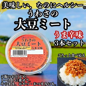 大豆 加工品 うわさの大豆ミート うま辛味 80g×3本 セット 健康 ヘルシー