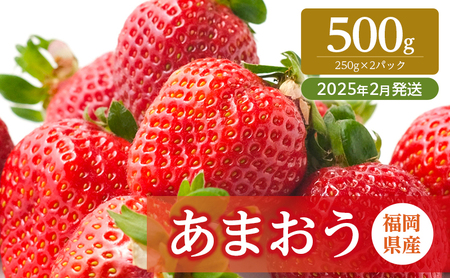 いちご 福岡県産 あまおう 500g (250g×2パック) 先行予約 2025年2月より順次発送 果物 デザート ※配送不可:離島