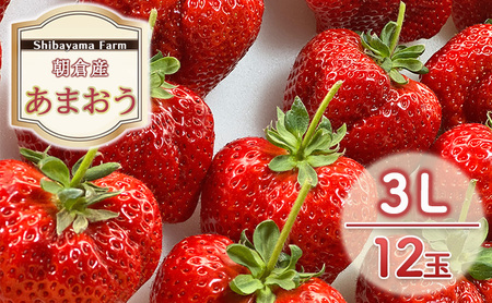 いちご 朝倉市産 あまおう 3L 12玉 イチゴ 苺 果物 デザート [Shibayama Farm] ※配送不可:離島