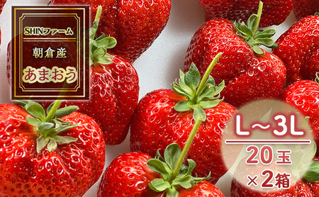  qsY ܂ L`3L 20×2 C`S  ʕ fU[g SHINt@[ zsF