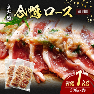  [X ē lM v1kg (500g×2P)   zsF