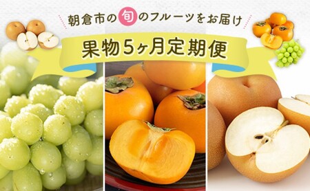 定期便 5ヶ月 果物 先行予約 2025年7月より順次発送 シャインマスカット 梨 柿 果物 ※配送不可:離島