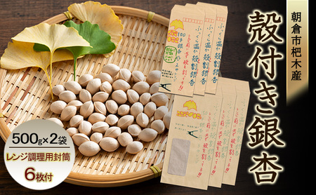 ぎんなん 朝倉市 杷木産 銀杏 殻付き 500g×2袋 レンジ調理用封筒付(100g用×3枚、150g用×3枚)