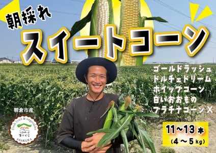 とうもろこし 朝倉市産 スイートコーン 朝採り!約4〜5kg ※配送不可:離島、北海道、東北、沖縄