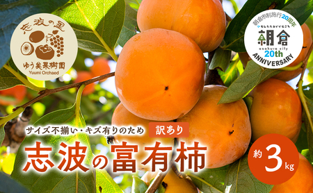 [朝倉市制施行20周年記念企画] 訳あり 志波の富有柿 約3kg 柿 ※配送不可:離島