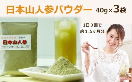 希少★日本山人参パウダー40g×3袋