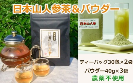 希少★日本山人参茶&パウダーで健康に!ティーバッグ30包×2袋 パウダー40g×3袋 農薬不使用