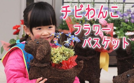 チビわんこのフラワーバスケット(1匹) 植物