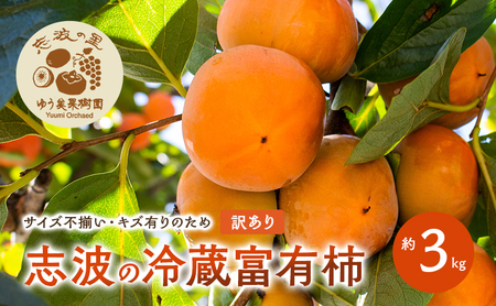 󂠂 ug̗①xL` 3kg ` ① zsF