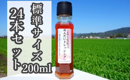 [-うま味と辛味が際立つ-めんたいドレッシング](標準サイズ200ml)24本セット