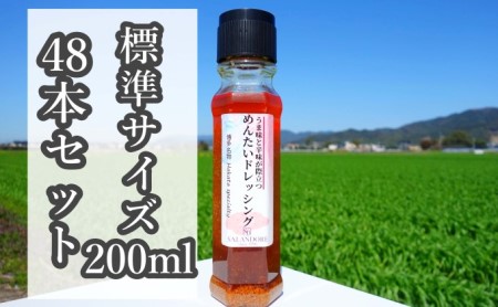 ★48本セット★【うま味と辛味が際立つめんたいドレッシング】（標準サイズ200ml） 調味料 