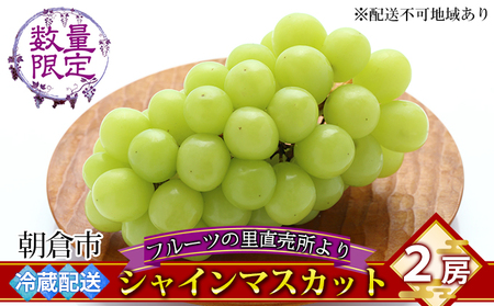 シャインマスカット 2房 フルーツの里の直売所より 葡萄 果物類 ぶどう 皮ごと 高い糖度 ※配送不可:離島