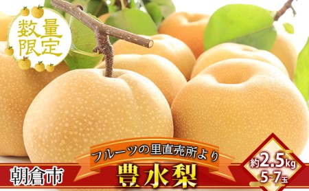 フルーツの里の直売所より 豊水梨 2.5kg