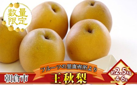 梨 フルーツの里の直売所より 王秋梨 2.5kg 九州の梨 天然の甘み 安心 安全 お歳暮 ギフト