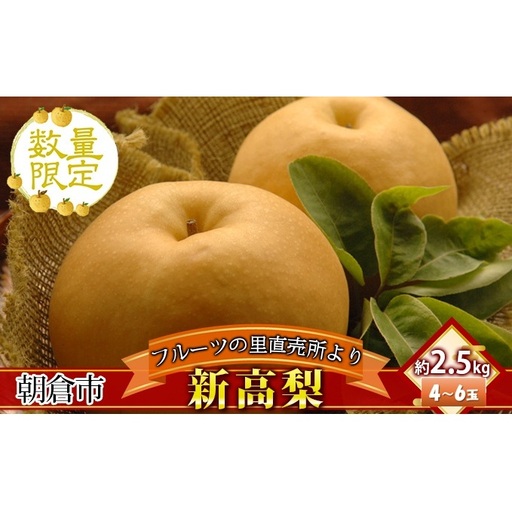 フルーツの里の直売所より 新高梨 2.5kg ナシ 果物 先行予約