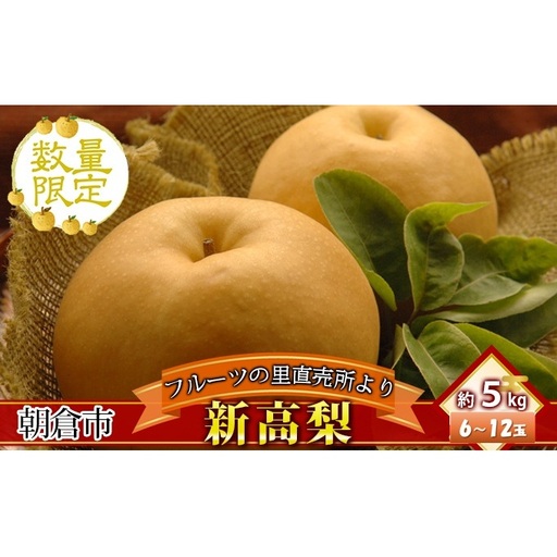 フルーツの里の直売所より 新高梨 5kg ナシ 果物 先行予約 