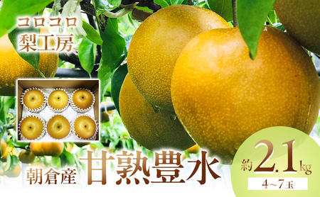 梨 豊水 まるで食べる梨ジュース!! 甘熟 豊水梨 約2.1kg 4〜7玉入 配送不可 離島 ナシ 果物 フルーツ 先行予約