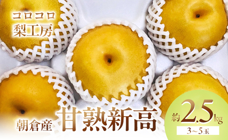 梨 新高梨 甘熟 味に自信あり!!約2.5kg 3〜5玉入 配送不可 離島 ナシ 果物 フルーツ 先行予約