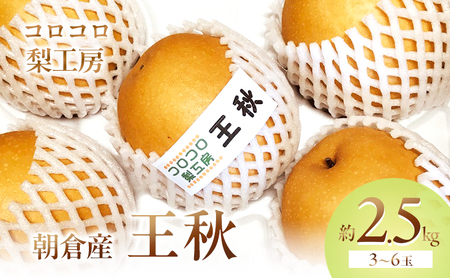 梨 王秋梨 まるで食べる梨ジュース!!約2.5kg 3〜6玉入 ナシ 果物 フルーツ 先行予約