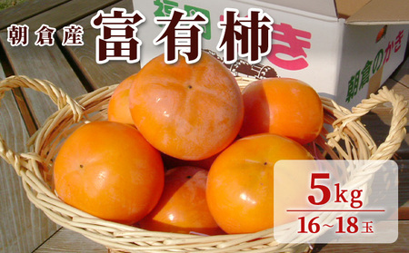 柿 富有柿 朝倉産 5kg 16玉〜18玉 朝倉りんご園 果物類 かき
