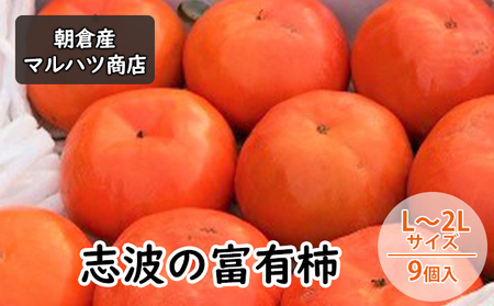 ` ug̕xL` L`2LTCY×9 }ncX ʕ 
