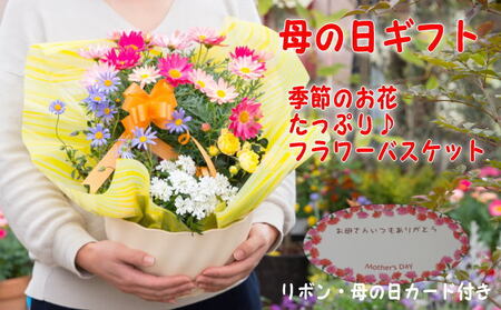 [母の日 ギフト]季節のフラワーバスケット[白鉢](オンライン決済限定) 花